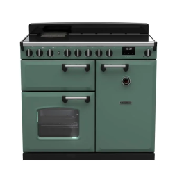 Stellisons Electrical | Rangemaster CLDL100EIPMGR/CM1 14675 Classic DLX ...