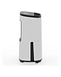 MeacoDry ARETEONE12L Dehumidifier and Air Purifier
