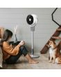 Vybra VS001-OF Oscillator Dual Height Tilt & Swing Oscillating Fan - White