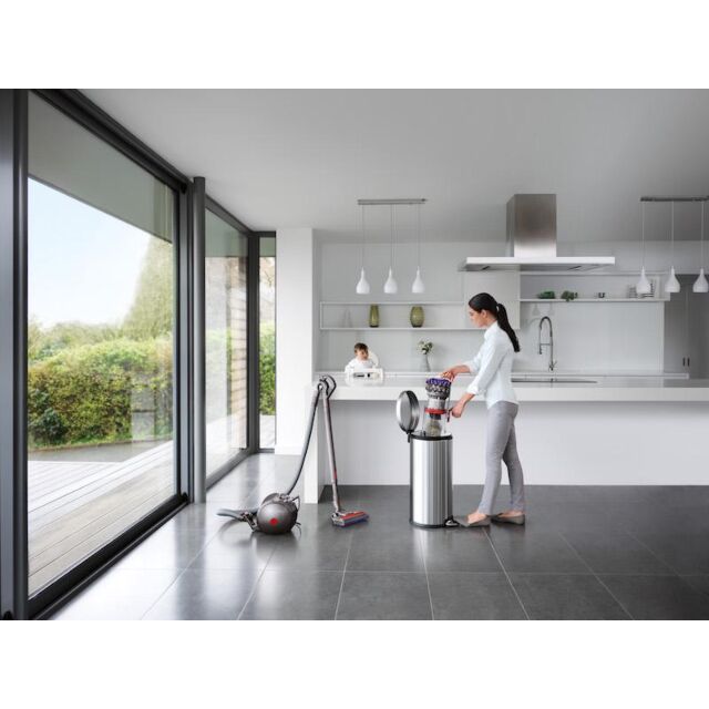Dyson BIGBALLANIMAL2+ Upright Vacuum Cleaner