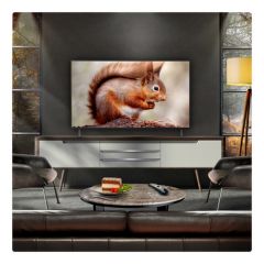 LG OLED48B56LA.AEK OLED AI B5 48" 4K Smart TV